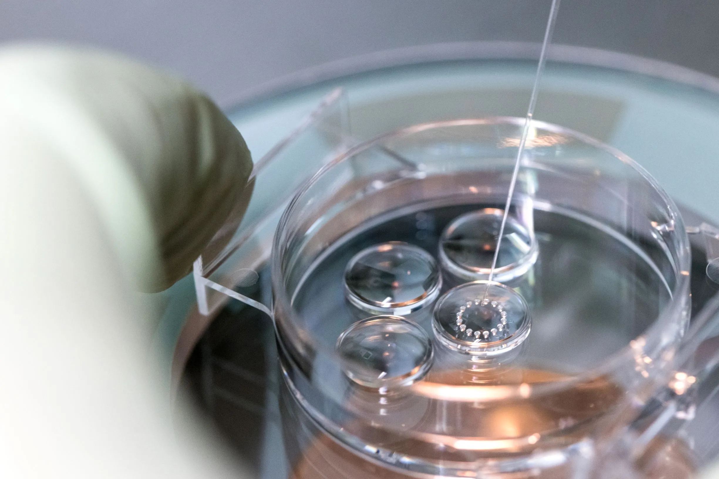 Mengenal Suasana Embryology Lab Fertility Clinic SMC RS Telogorejo