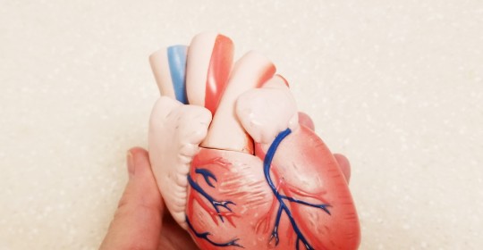 Cerita Pasien RS Telogorejo Pulihkan Kesehatan Jantung dengan Tindakan Bedah